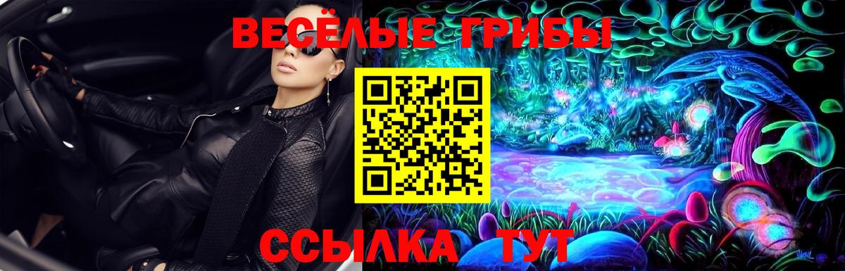 Псилоцибиновые грибы мицелий  купить   Батайск  Вход с VPN 